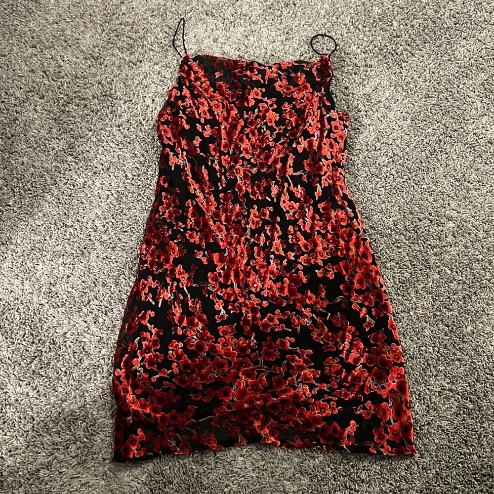 Princess Polly Dress